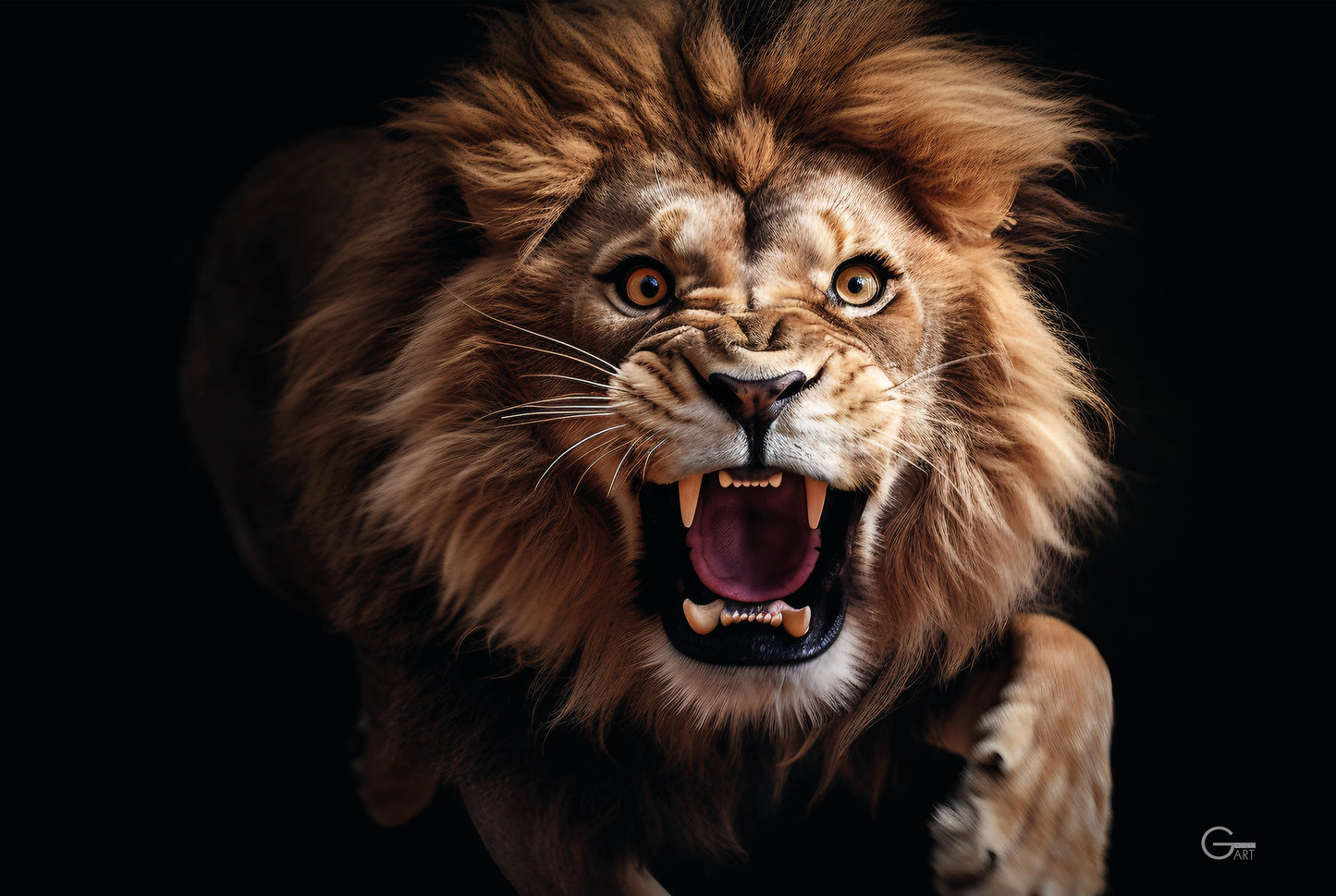 König der Wildnis: Der Brüllender Löwe - Hochwertiger Druck auf Leinwand oder Acrylglas