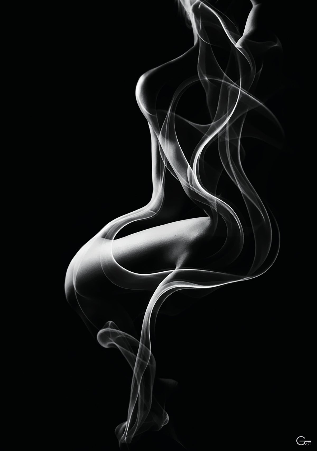 Im Atem des Nebels - Hochwertiger Druck auf Leinwand, Acrylglas, Poster und gerahmte Poster